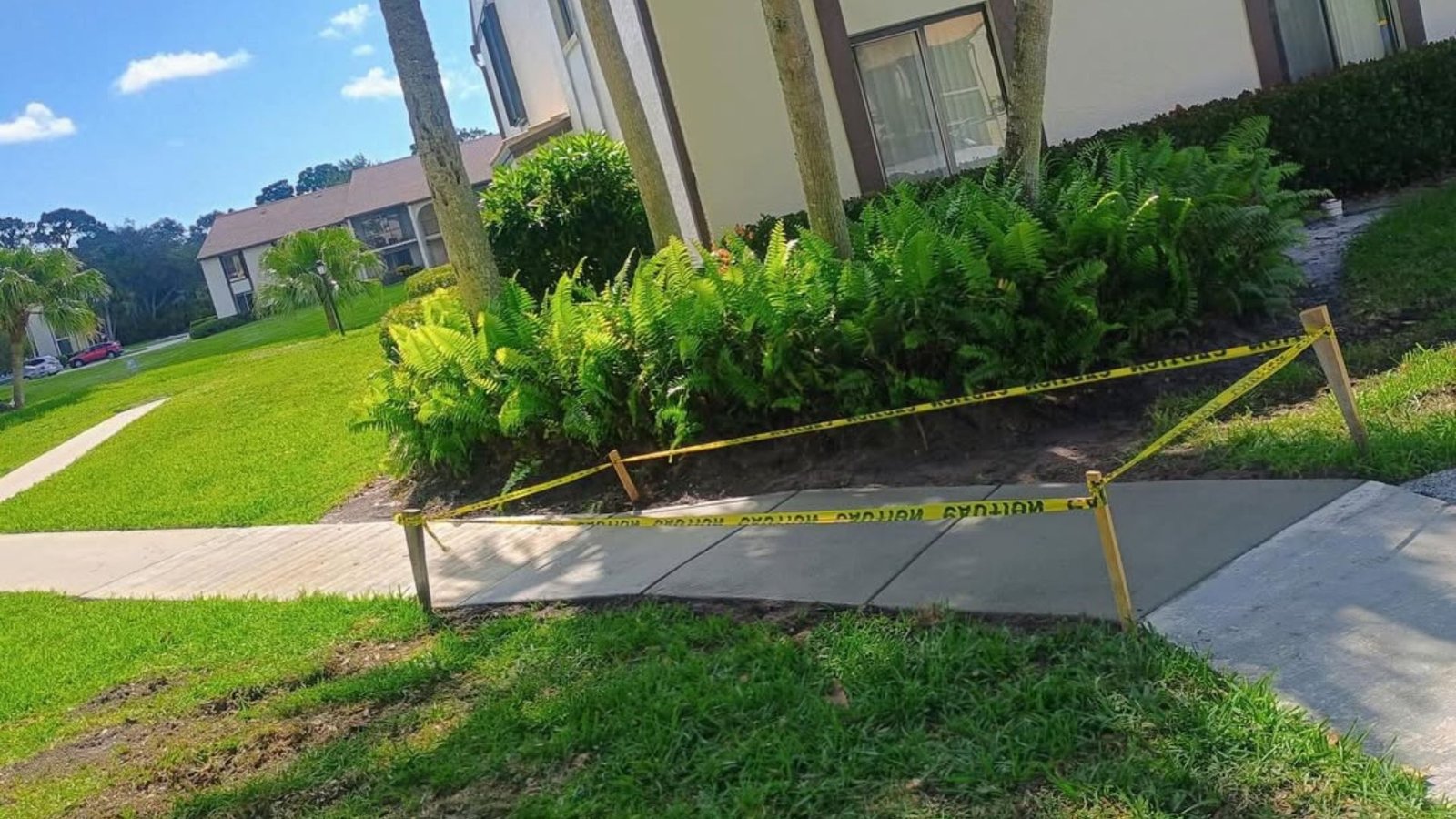 Sidewalk Repair Laws